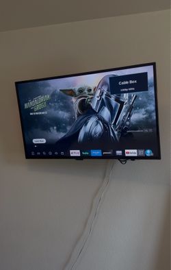 40in Insignia TV (Wall Mount & Roku Stick included)