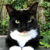 $$Meow Meow Deals$$