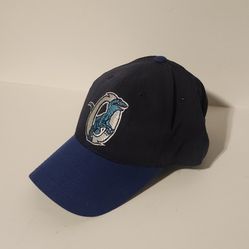 Ogden Raptors Hat Utah MILB OC Sports Baseball Cap OSFM Minor Blue/DarkBlue Used