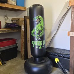 Dinosaur Punching Bag