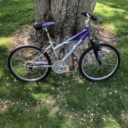 24” Mountain Bike 