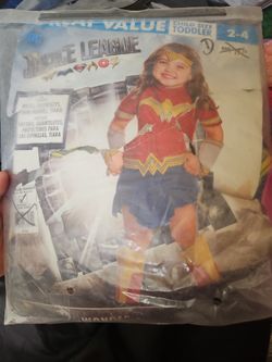 Justice League Costume