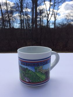 Washington DC Souvenir Mug Coffee Cup