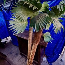 Artificial Palm Trees