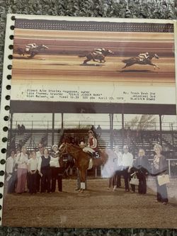 Photo 1978 Race Horse