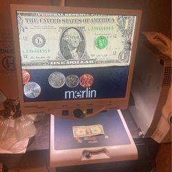 Electronic Magnifying Enhanced Vision