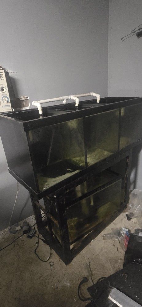 Breeder/QT Tank For Sale!!!!in Lake Worth Beach F.L.