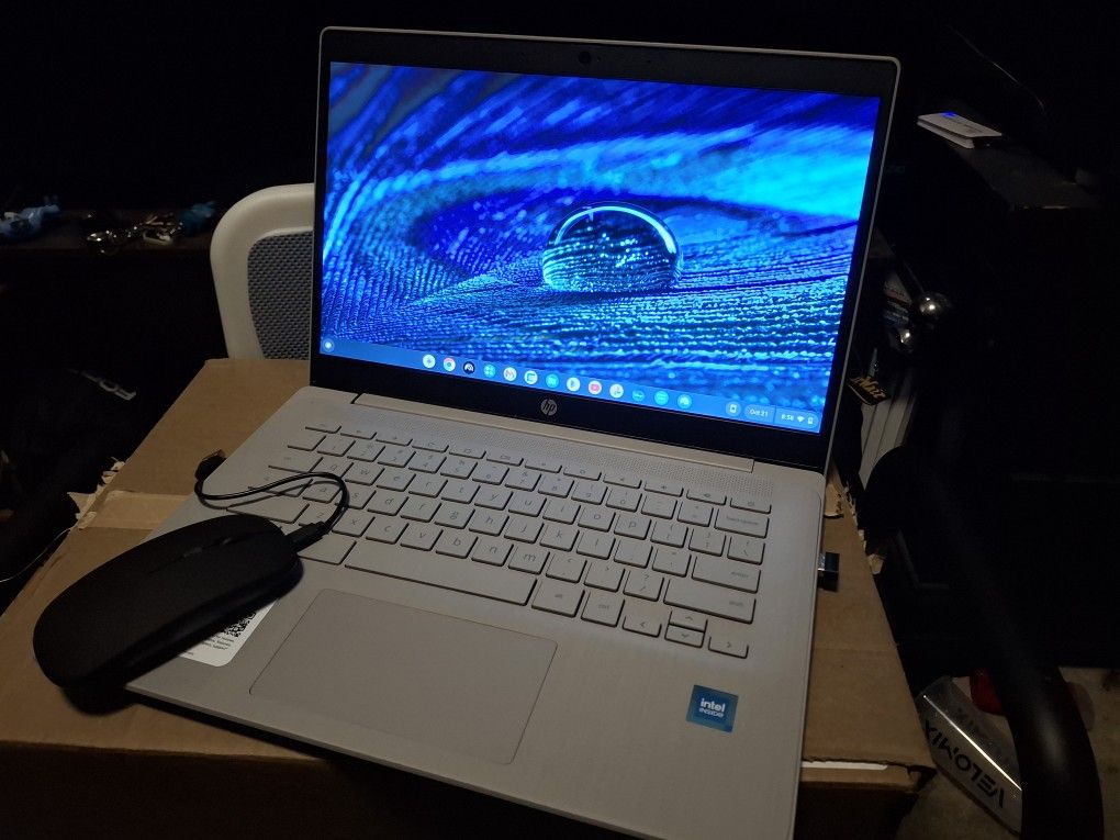 Hp Chromebook