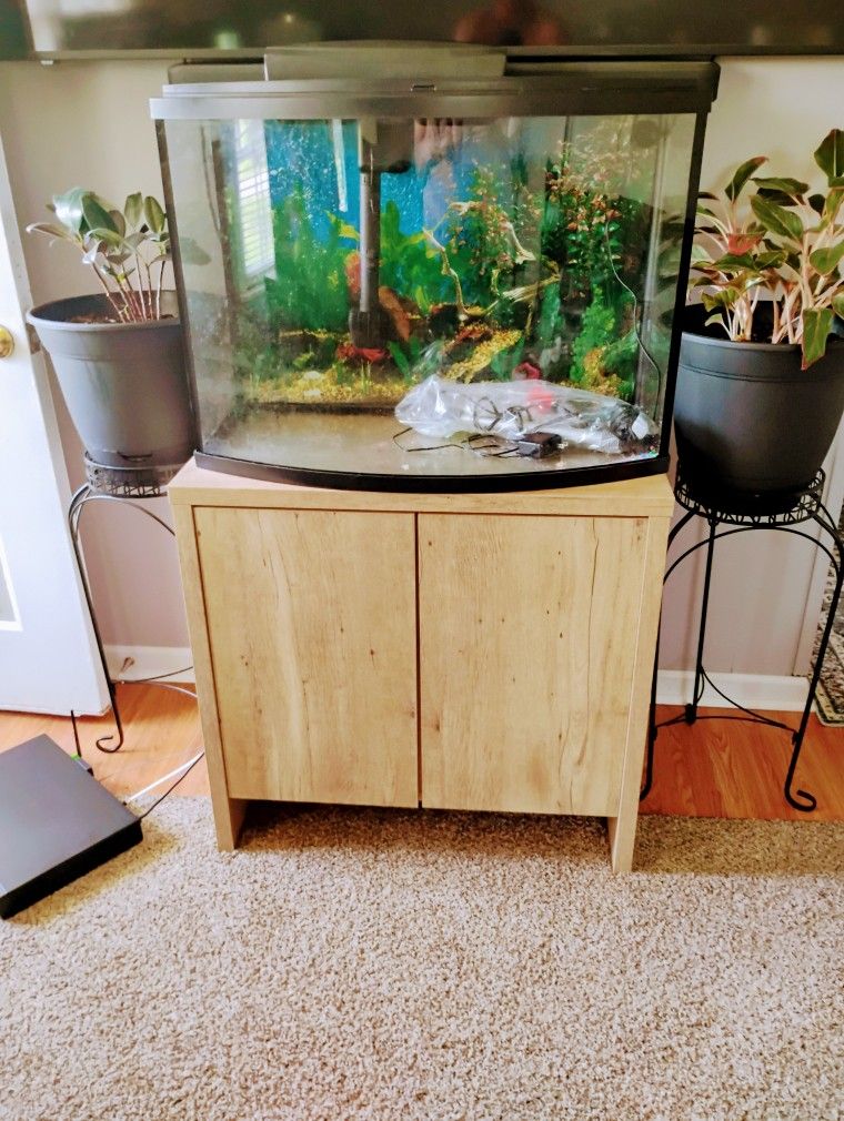 40 Gallon Aquarium With Stand