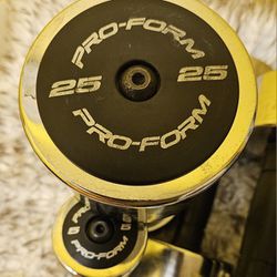 Full Set Of Pro-Form Dumbells 5lbs To 25lbs