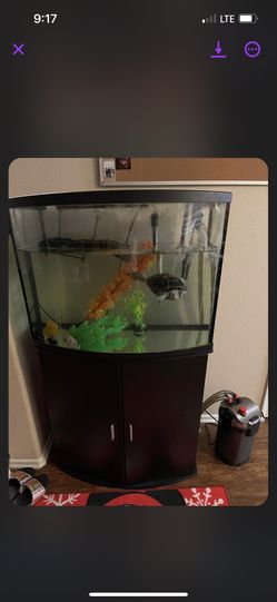 Tank And Filter