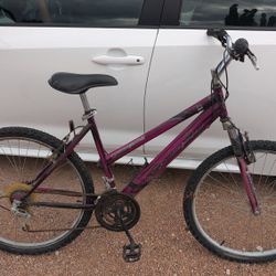 Mountain bike Roadmaster, 26-in tires, 18 speed, 19-in frame some rust