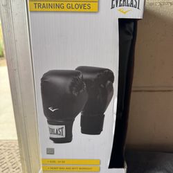 Everlast Pro Style 2 Boxing Gloves 14 Oz