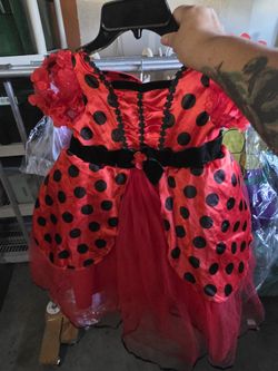 Ladybug Costume