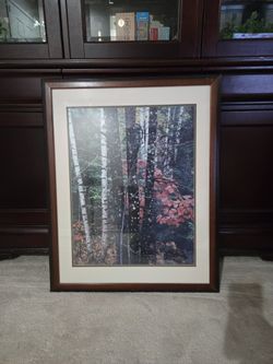 Picture Frame