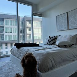 Soft Frames King Bed & Mattress