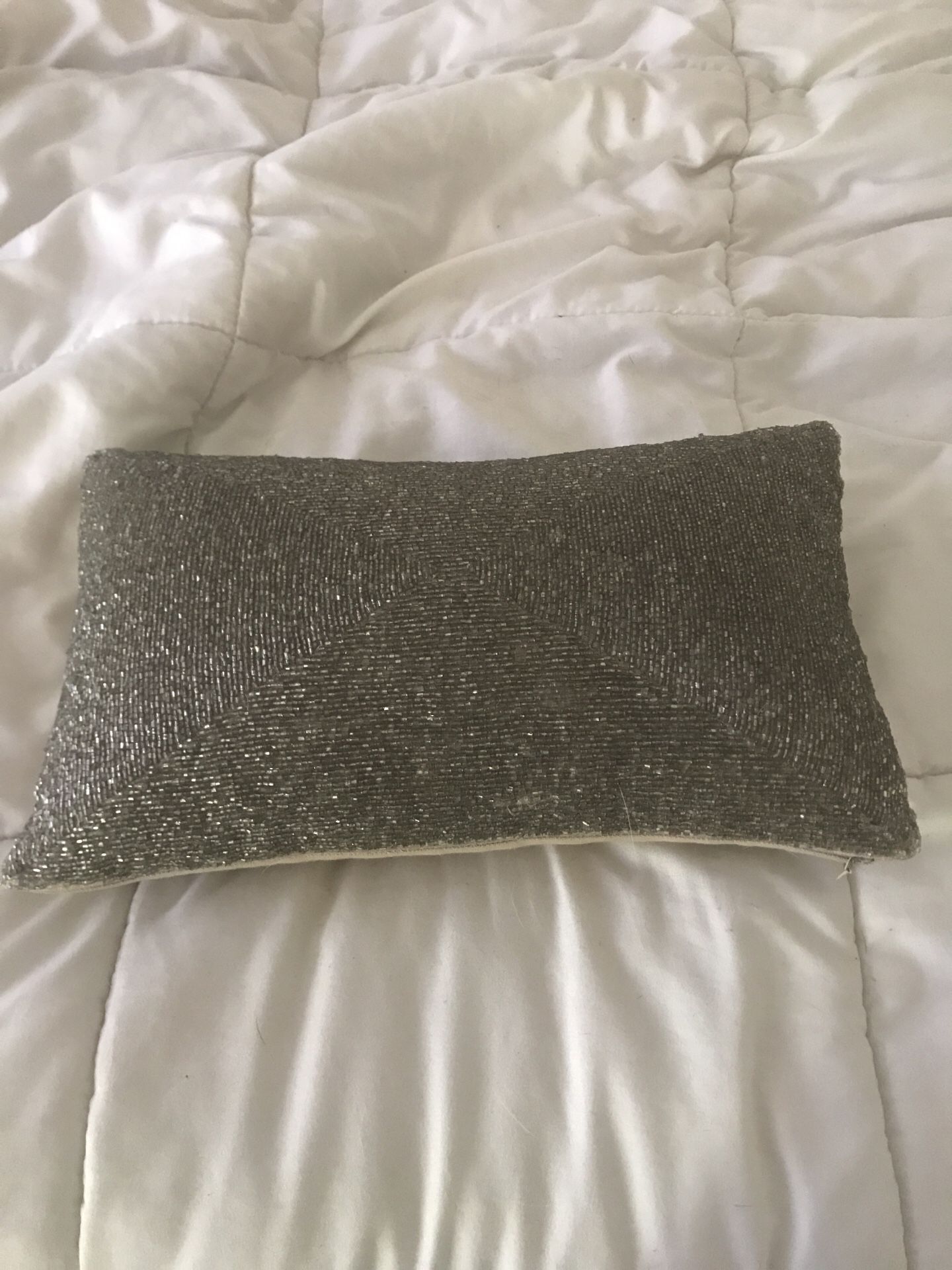 Chic silver pillow