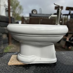 Toilet Bowl 