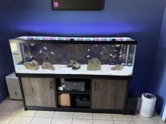 125 gallon Aqueon Aquarium
