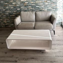 Gray Couch 