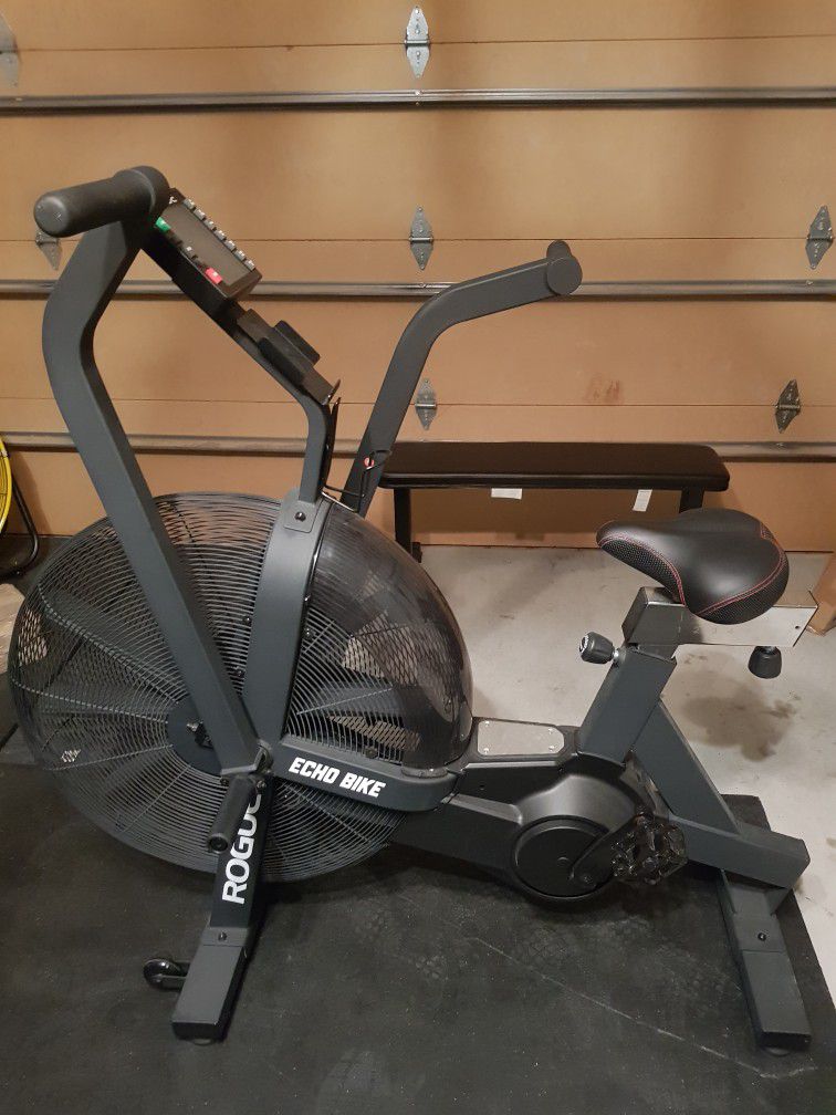 Rogue Echo Bike With Accessories