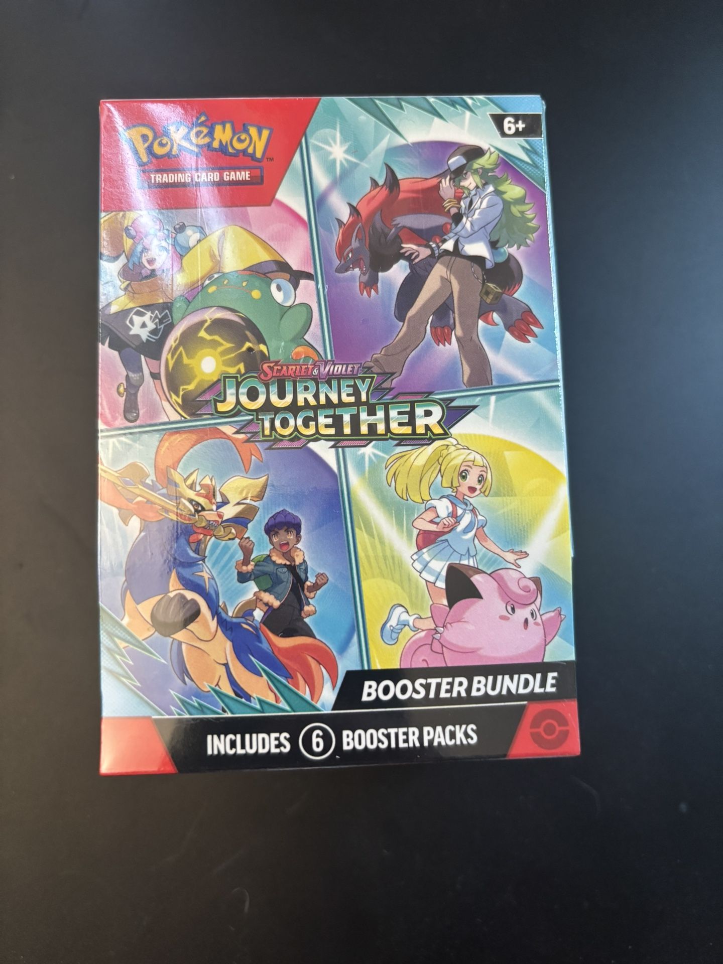 Pokémon Journey Together