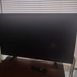 24in Roku Tv
