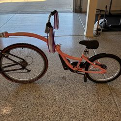 KaZAM Co-Pilot Bike trailer