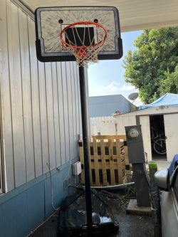 Lifetime Basketball Hoop