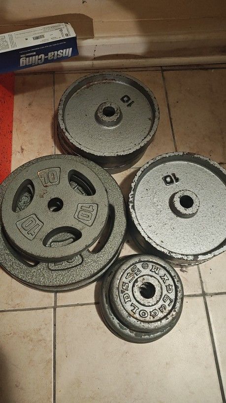 Standard Weight Plates  145 Lbs