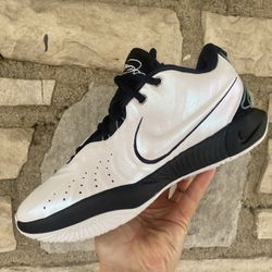 Nike Basketball Shoe Nike LeBron 21 "Conchiolin"  ( pick up only )Size 8.5 Mens $75