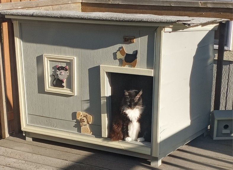 Doghouse OBO