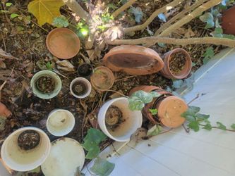 Assortment of pots planting pots