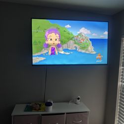 50 Inch Vizio Tv
