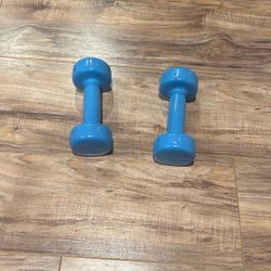 5lb Dumbbells 
