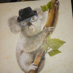 Kuoala Bear Painting 16 X 16