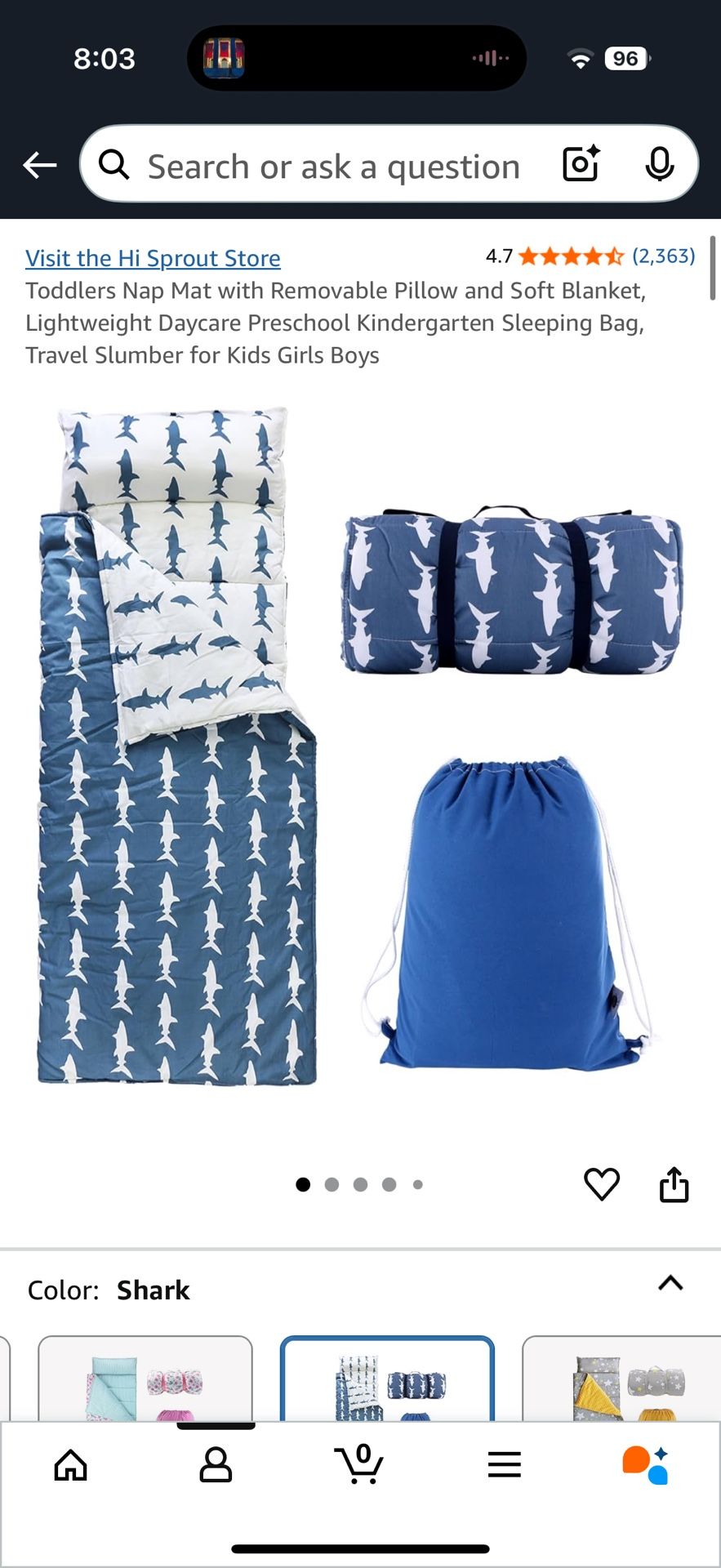 Kids Sleeping Bag