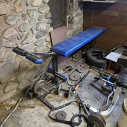 Leg Extension/Leg Curl Machine