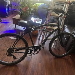 Zf Cruiser Beach Cruiser