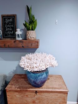Incredible Coral Piece