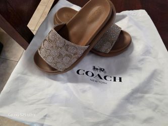Coach slides