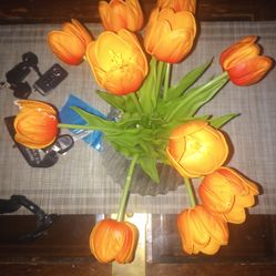 Where's my woman??, my love of my life?!🤣🤣🙏💯