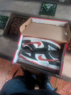 Nike SB dunk size 11.5