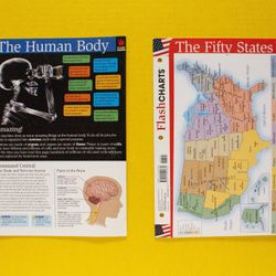 Flashcharts Study Aides for Children "Human Body" & "U.S. States" - set of 2
