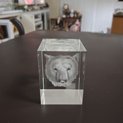 3D Laser Engraved Crystal Cube Of A Polar Bear's Head, Paperweight 3"H X 2.25"Square