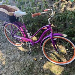 Sweet Schwinn Bike W/ Dog Basket