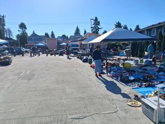 Swapmeet 8018 pacific ave tacoma october 11th 2026