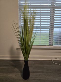 Decorative Plant And Vase