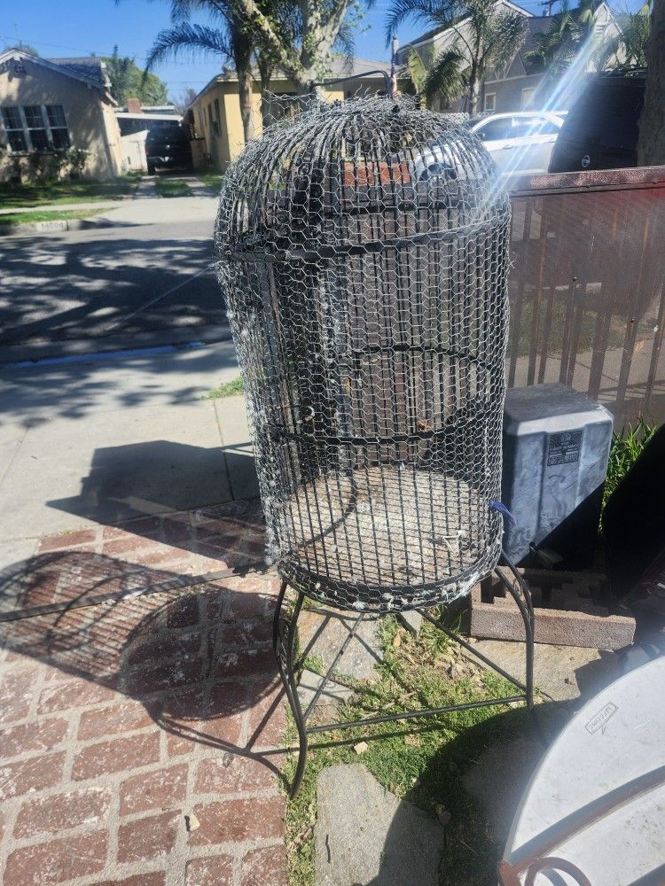 Bird Cage