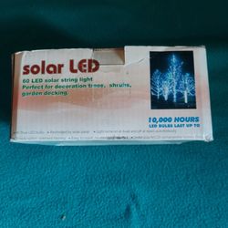 Solar LED Lights